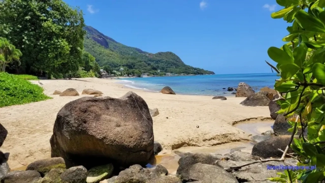 Plaża Bel Ombre_009