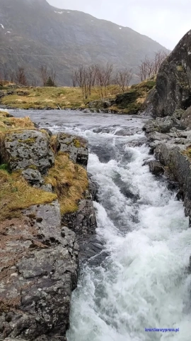 Norwegia2023-05-18_045