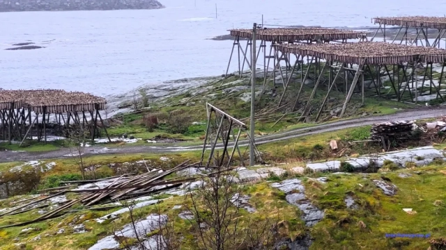 Norwegia2023-05-18_046