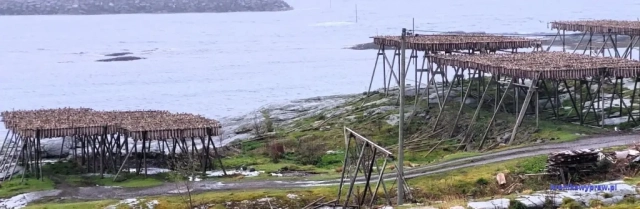 Norwegia2023-05-18_092