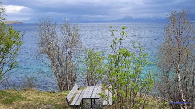 Norwegia2023-05-19_056