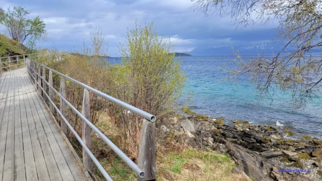 Norwegia2023-05-19_057