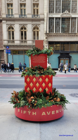 NowyJork2024-11-29_068