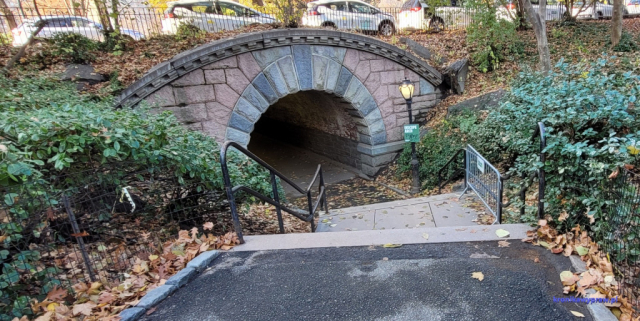 NowyJork2024-11-29_110