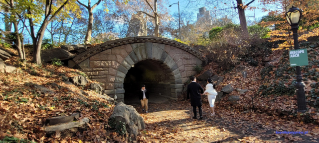 NowyJork2024-11-29_111