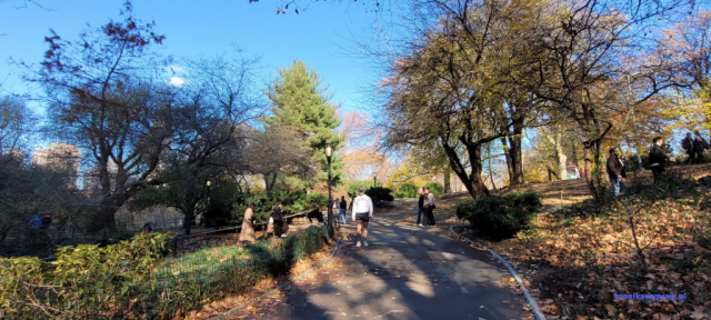 NowyJork2024-11-29_112