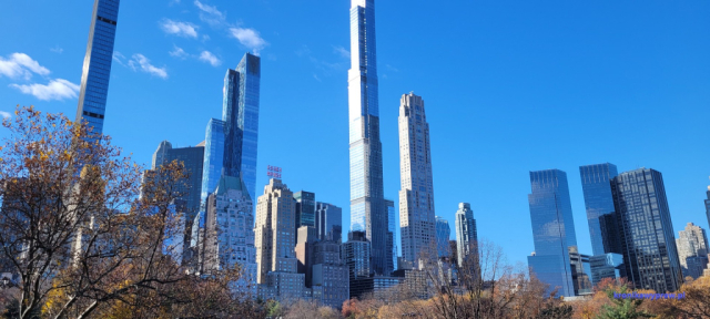 NowyJork2024-11-29_122