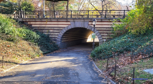 NowyJork2024-11-29_141