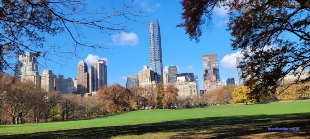 NowyJork2024-11-29_143