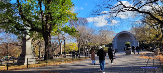 NowyJork2024-11-29_145