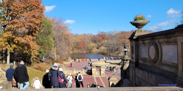 NowyJork2024-11-29_150