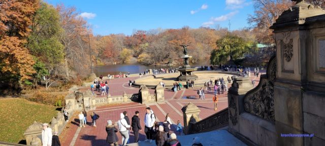 NowyJork2024-11-29_151