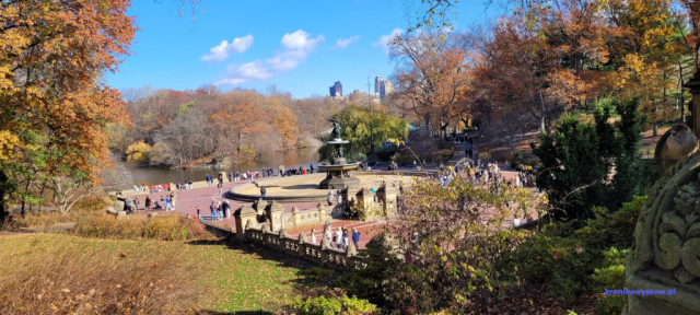 NowyJork2024-11-29_152