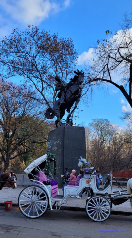 NowyJork2024-11-29_156