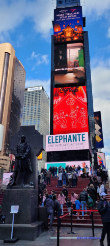 NowyJork2024-11-29_240