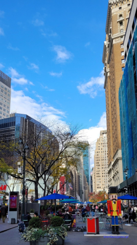 NowyJork2024-11-29_292