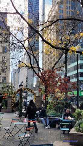 NowyJork2024-11-29_296