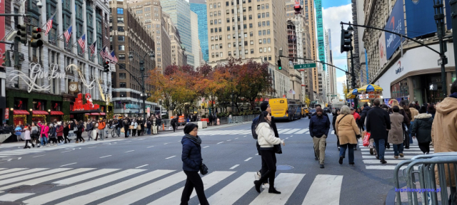 NowyJork2024-11-29_299