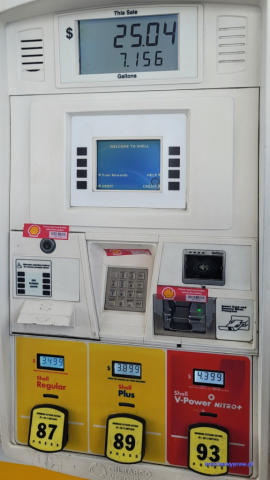 Everglades 2025-02-13_001