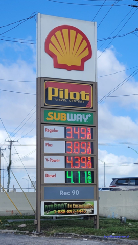 Everglades2025-02-13_003