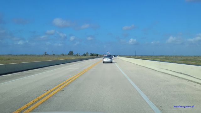 Everglades2025-02-13_006