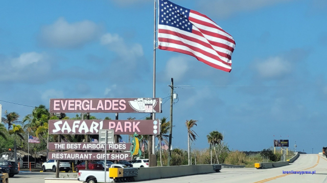 Everglades2025-02-13_009