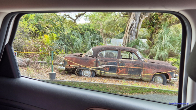 Everglades2025-02-13_016