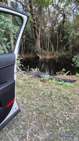 Everglades2025-02-13_022