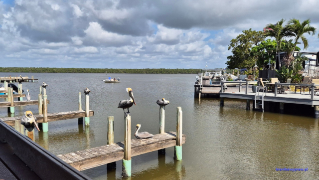 Everglades2025-02-13_043