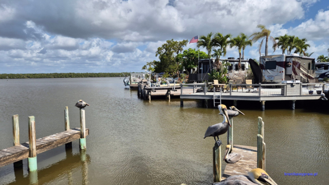 Everglades2025-02-13_047