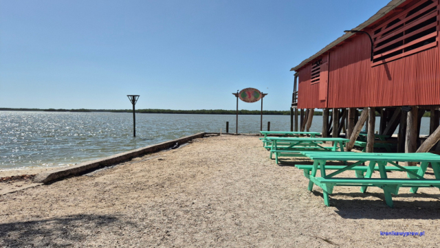 Everglades2025-02-13_050