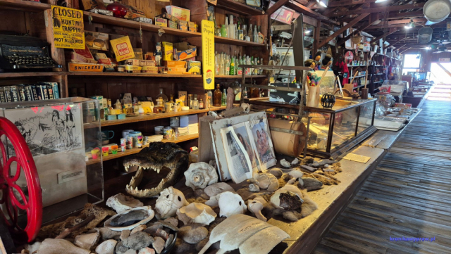 Everglades2025-02-13_056