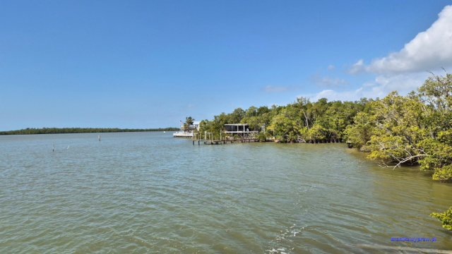 Everglades2025-02-13_057