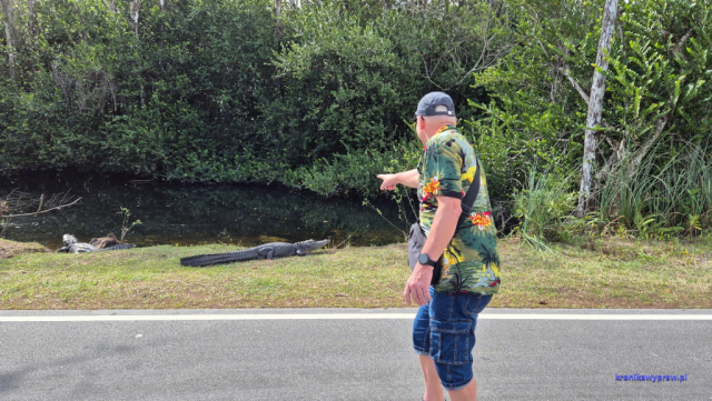 Everglades20250213_103337