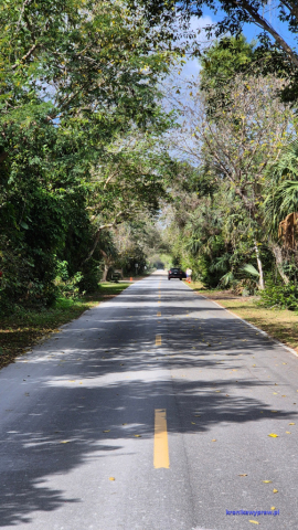 Everglades20250213_110134