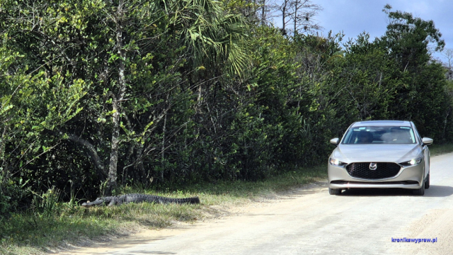 Everglades20250213_112230