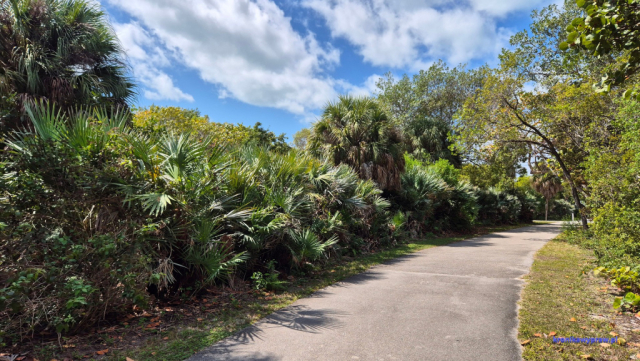 Key Biscayne2025-02-22_020