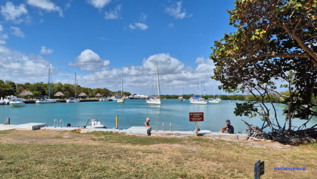 Key Biscayne2025-02-22_023