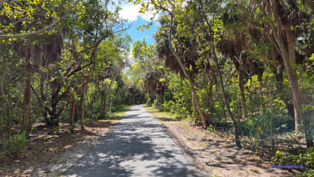 Key Biscayne2025-02-22_025