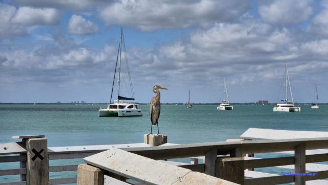 Key Biscayne2025-02-22_039