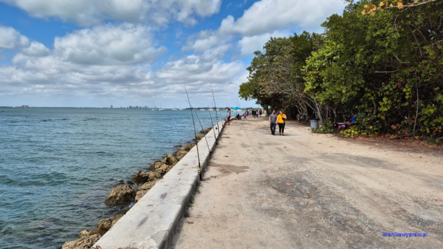 Key Biscayne2025-02-22_043