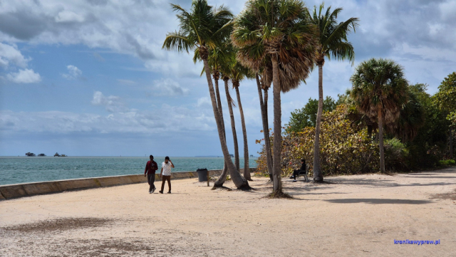 Key Biscayne2025-02-22_052