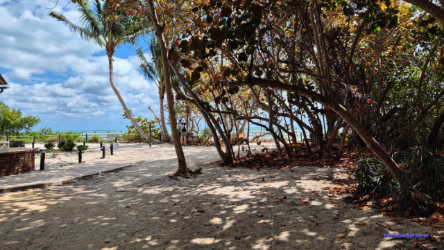 Key Biscayne2025-02-22_056