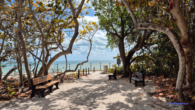 Key Biscayne2025-02-22_060