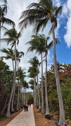 Key Biscayne2025-02-22_067