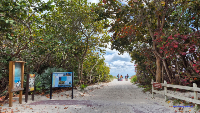 Key Biscayne2025-02-22_070