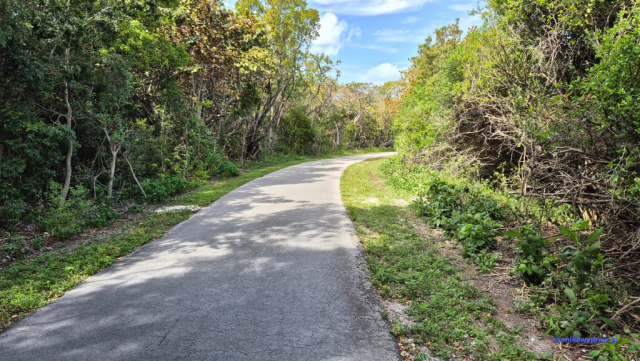 Key Biscayne2025-02-22_082