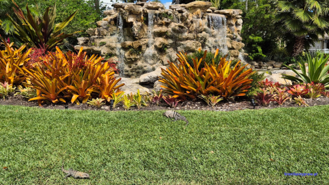 Key Biscayne2025-02-22_088a