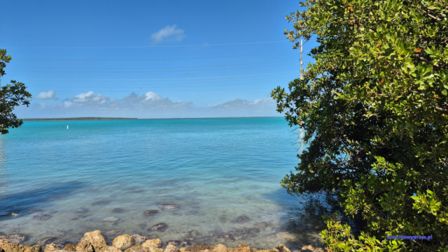 Key West2025-02-12_048