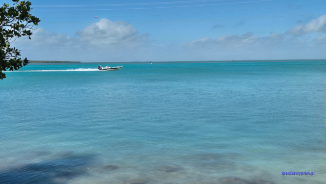 Key West2025-02-12_061